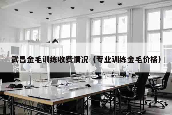 武昌金毛训练收费情况（专业训练金毛价格）