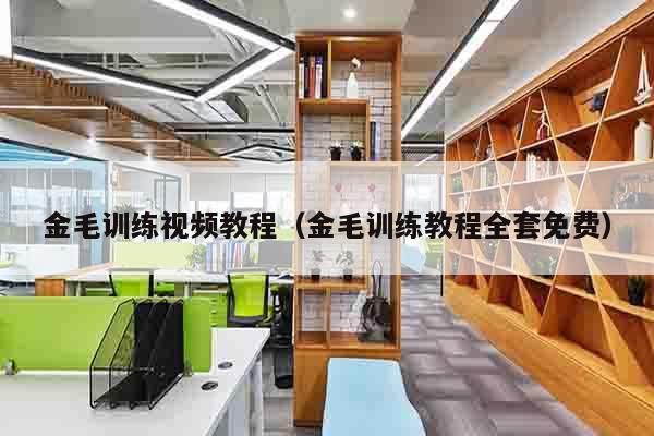 金毛训练视频教程（金毛训练教程全套免费）