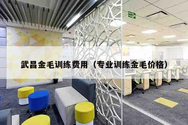 武昌金毛训练费用（专业训练金毛价格）