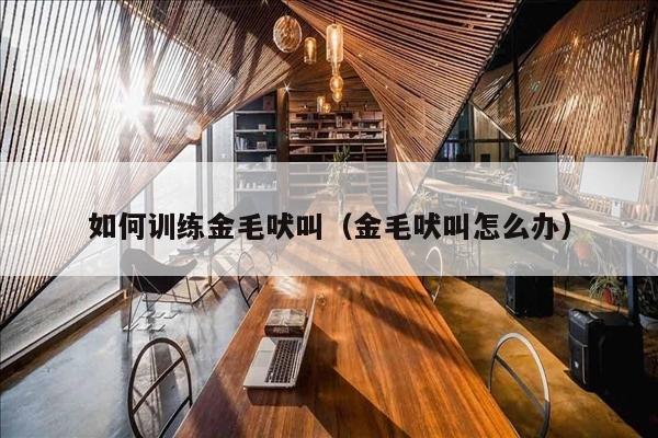 如何训练金毛吠叫（金毛吠叫怎么办）
