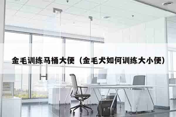 金毛训练马桶大便（金毛犬如何训练大小便）