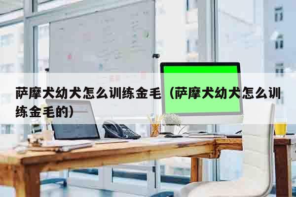 萨摩犬幼犬怎么训练金毛（萨摩犬幼犬怎么训练金毛的）