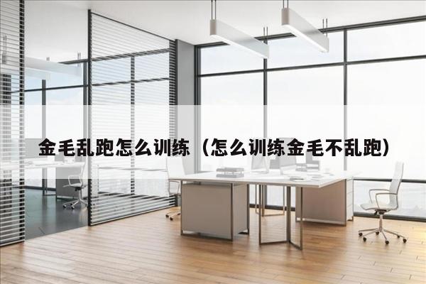 金毛乱跑怎么训练（怎么训练金毛不乱跑）