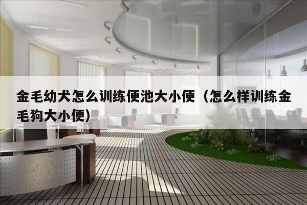 金毛幼犬怎么训练便池大小便（怎么样训练金毛狗大小便）