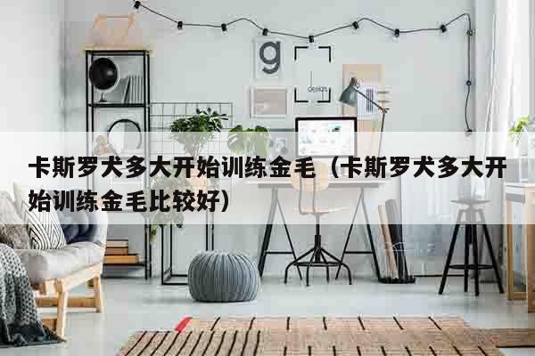 卡斯罗犬多大开始训练金毛（卡斯罗犬多大开始训练金毛比较好）