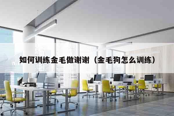 如何训练金毛做谢谢（金毛狗怎么训练）