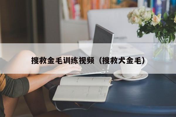 搜救金毛训练视频（搜救犬金毛）