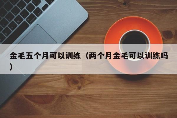 金毛五个月可以训练（两个月金毛可以训练吗）