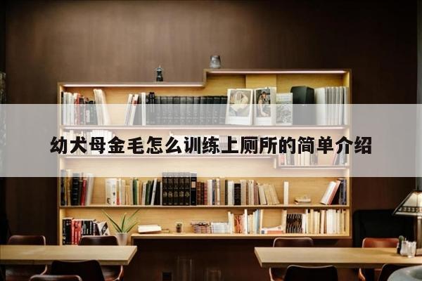 幼犬母金毛怎么训练上厕所的简单介绍