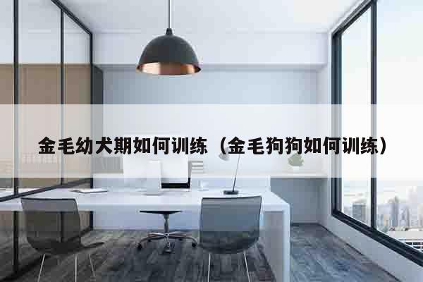 金毛幼犬期如何训练（金毛狗狗如何训练）