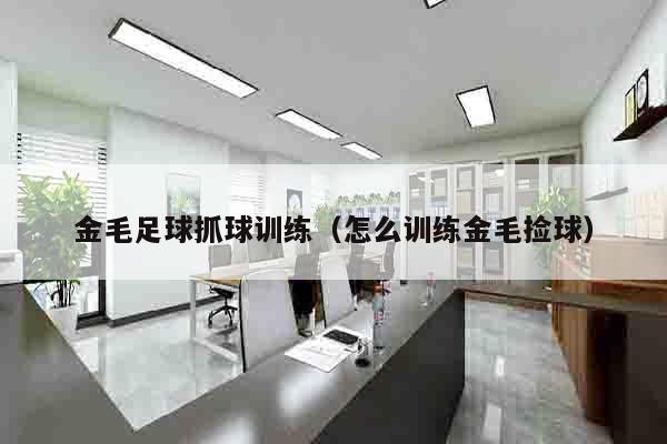 金毛足球抓球训练（怎么训练金毛捡球）