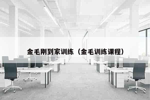 金毛刚到家训练（金毛训练课程）