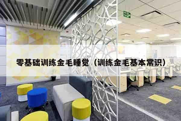 零基础训练金毛睡觉（训练金毛基本常识）