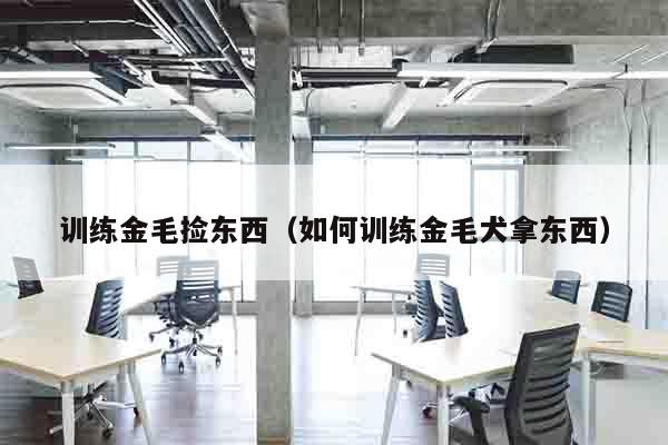 训练金毛捡东西（如何训练金毛犬拿东西）