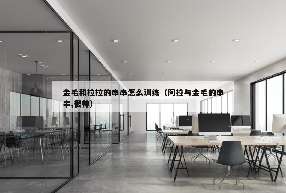金毛和拉拉的串串怎么训练（阿拉与金毛的串串,很帅）