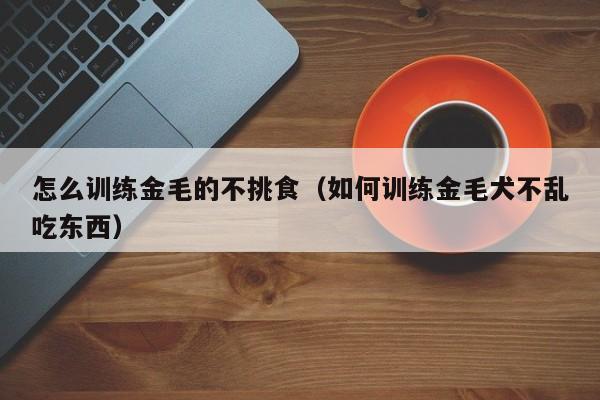 怎么训练金毛的不挑食（如何训练金毛犬不乱吃东西）