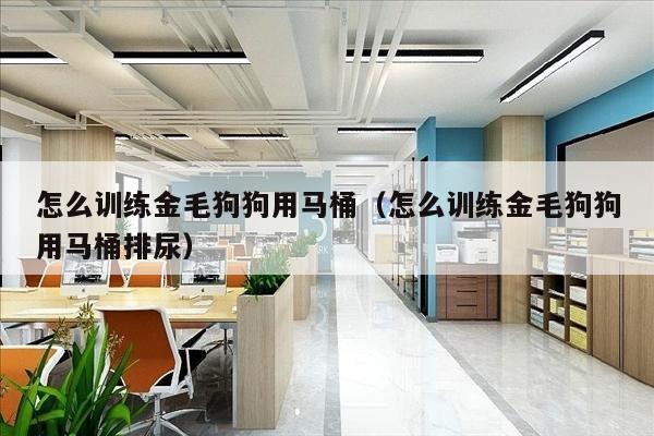 怎么训练金毛狗狗用马桶（怎么训练金毛狗狗用马桶排尿）