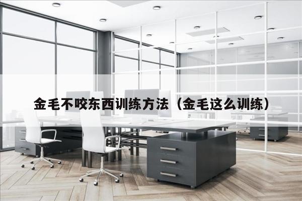 金毛不咬东西训练方法（金毛这么训练）