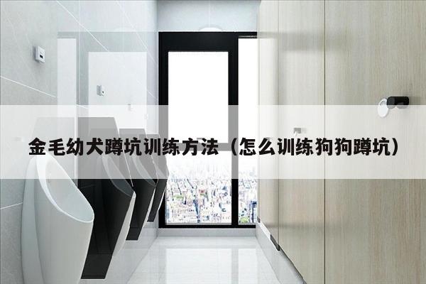 金毛幼犬蹲坑训练方法（怎么训练狗狗蹲坑）