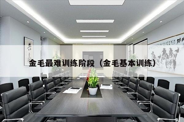 金毛最难训练阶段（金毛基本训练）
