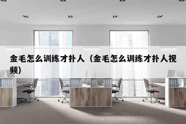 金毛怎么训练才扑人（金毛怎么训练才扑人视频）