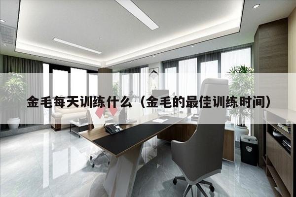金毛每天训练什么（金毛的最佳训练时间）