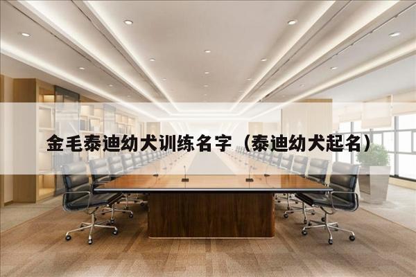金毛泰迪幼犬训练名字（泰迪幼犬起名）