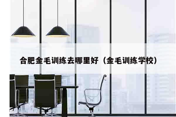 合肥金毛训练去哪里好（金毛训练学校）