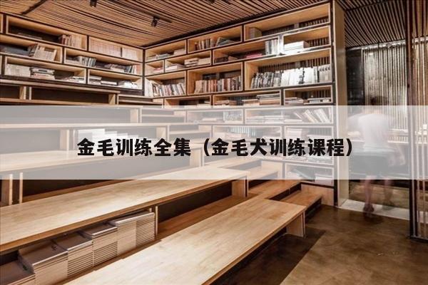 金毛训练全集（金毛犬训练课程）