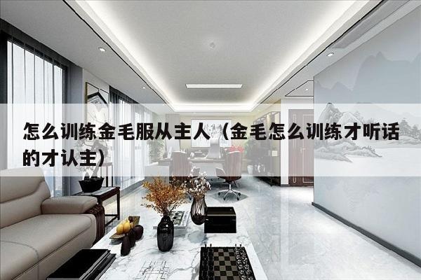 怎么训练金毛服从主人（金毛怎么训练才听话的才认主）
