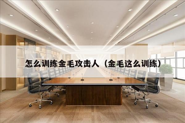 怎么训练金毛攻击人（金毛这么训练）