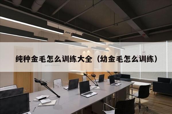纯种金毛怎么训练大全（幼金毛怎么训练）