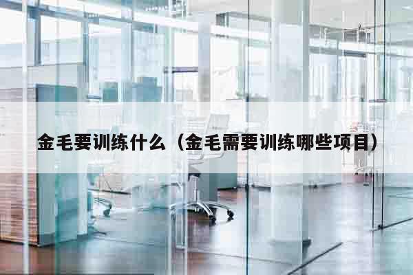 金毛要训练什么（金毛需要训练哪些项目）