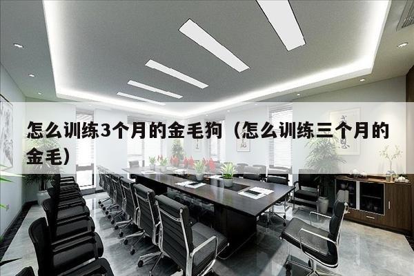 怎么训练3个月的金毛狗（怎么训练三个月的金毛）