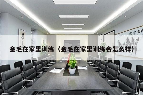 金毛在家里训练（金毛在家里训练会怎么样）