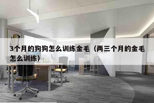3个月的狗狗怎么训练金毛（两三个月的金毛怎么训练）