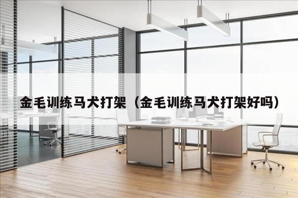 金毛训练马犬打架（金毛训练马犬打架好吗）