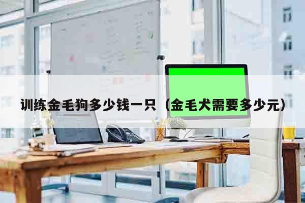 训练金毛狗多少钱一只（金毛犬需要多少元）