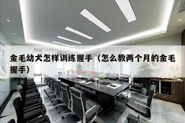 金毛幼犬怎样训练握手（怎么教两个月的金毛握手）