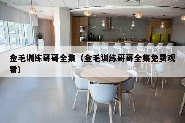 金毛训练哥哥全集（金毛训练哥哥全集免费观看）