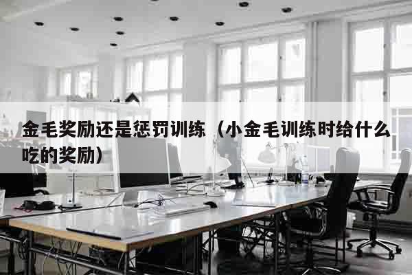 金毛奖励还是惩罚训练（小金毛训练时给什么吃的奖励）