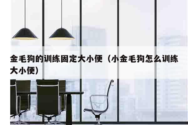 金毛狗的训练固定大小便（小金毛狗怎么训练大小便）