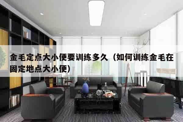 金毛定点大小便要训练多久（如何训练金毛在固定地点大小便）
