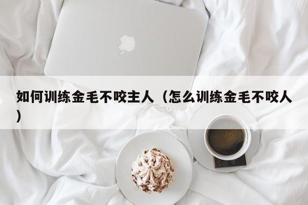 如何训练金毛不咬主人（怎么训练金毛不咬人）