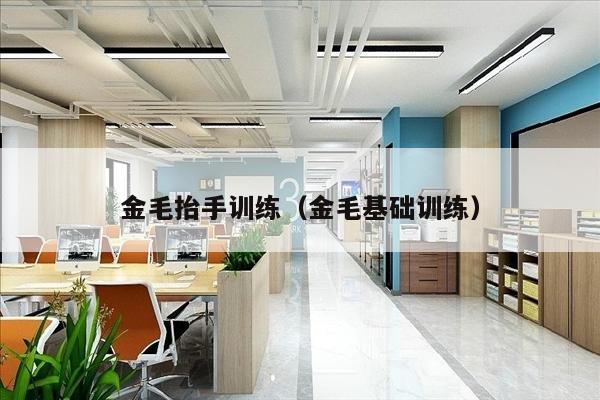 金毛抬手训练（金毛基础训练）
