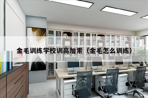 金毛训练学校训高加索（金毛怎么训练）