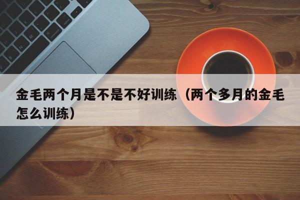 金毛两个月是不是不好训练（两个多月的金毛怎么训练）