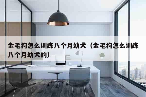 金毛狗怎么训练八个月幼犬（金毛狗怎么训练八个月幼犬的）