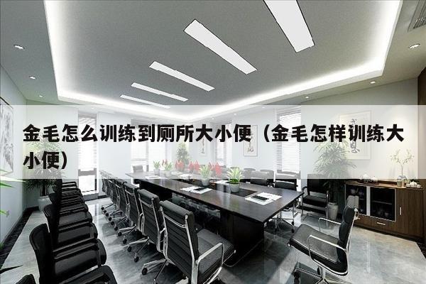 金毛怎么训练到厕所大小便（金毛怎样训练大小便）