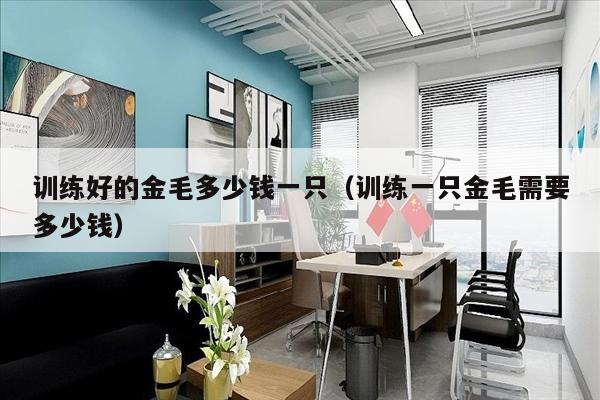 训练好的金毛多少钱一只（训练一只金毛需要多少钱）